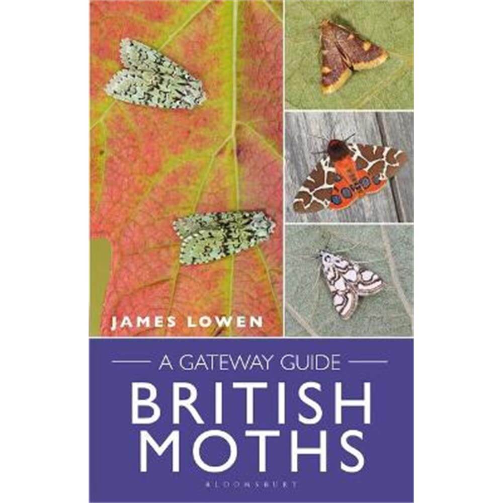 British Moths: A Gateway Guide - James Lowen